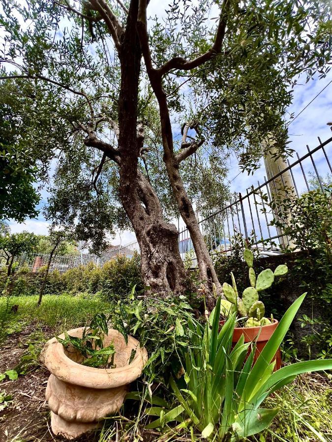 Casa Vacanze "Sautufao" Santa Venerina Exterior foto